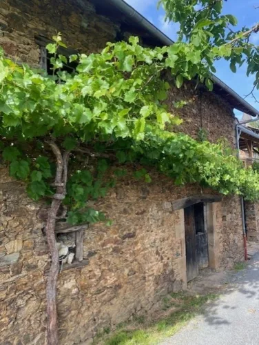 OPPORTUNITE: Grange à transformer  en partie rénovée à La Vinzelle (12) — photo 5