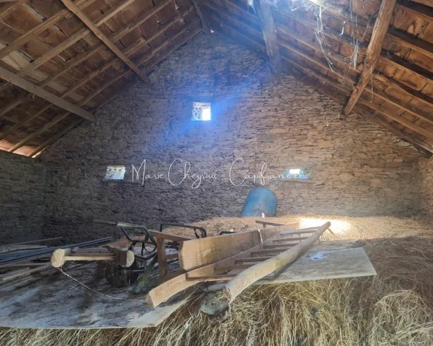 Grange + Maison entre campagne et ville - VENARSAL (19) — photo 5