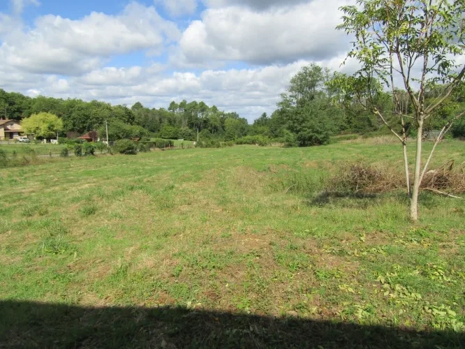 Propriété avec maison 4 chambres, plusieurs bâtiments et 1.8 hectares de terrain — photo 3