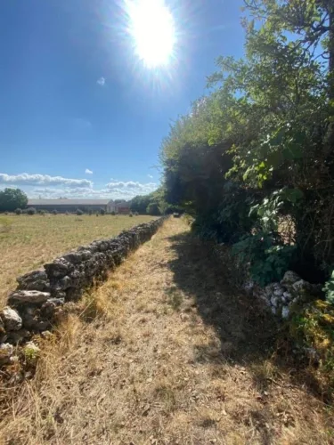 Corps de ferme Laburgade — photo 5