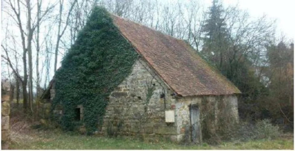 Dpt Orne (61), à vendre GRANGE de 90 m2 à rénover sur terrain de 1539 m2