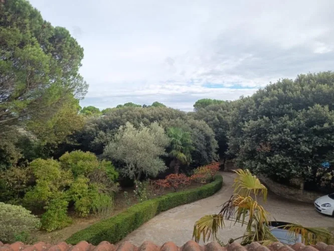 Propriété de 182m² avec piscine sur 5500 m² de terrain — photo 3