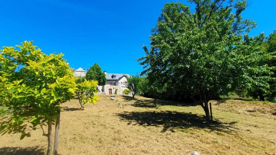 LUNAC  Propriété de caractère en pierre rénovée .220 m² habitables  Dépendances  Spa Terrain 1 805 m² — photo 2