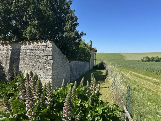 Élégance rurale et charme d'époque — photo 5