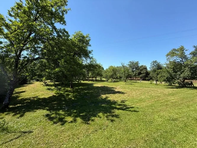 Belle Demeure de Caractère avec Plus de 5 000 m² de Terrain, Verger et Dépendances — photo 5