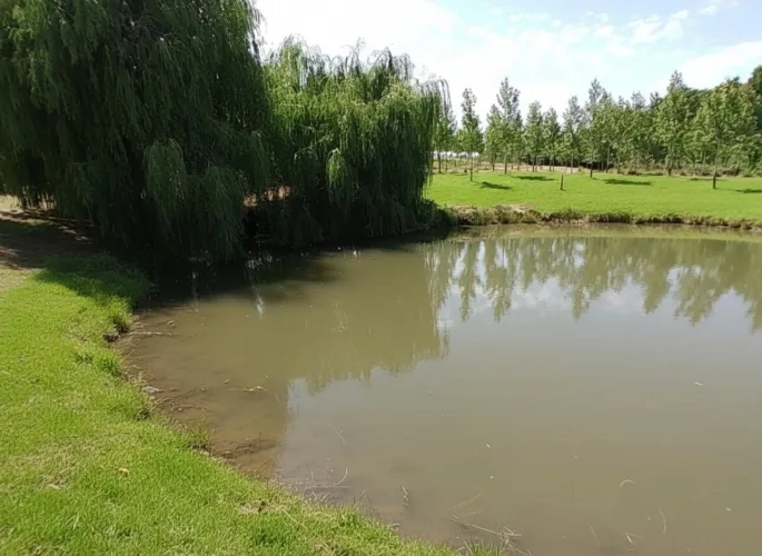 Ancienne propriété agricole avec dépendances au calme — photo 2