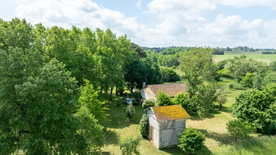 GRANDE PROPRIETE AVEC 6,5HA — photo 5