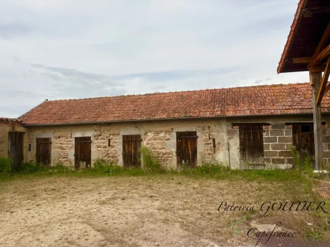 A  SAINT FORGEUX LESPINASSE (42) MAISON DE CARACTERE de 200 M2 avec DEPENDANCES et terrain clos de 8400M2 — photo 5