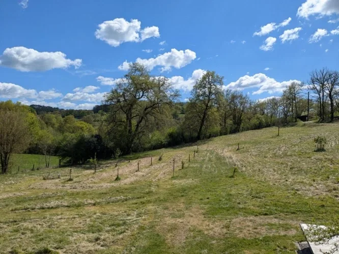 Maison en bois bioclimatique sur grand terrain — photo 5