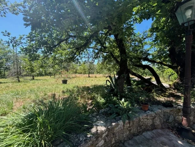 Proche Montcuq: Maison 18e Siècle avec 8,5ha — photo 5