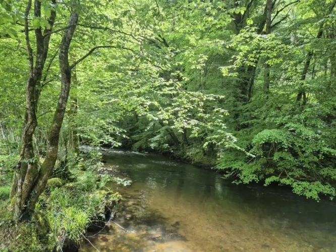 Propriété de 3,3 hectares au bord de l'eau, à quelques minutes de Saint-Céré — photo 4