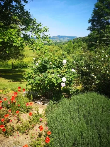 Propriété de caractère à vendre 6 pièces MAZILLE (71) dans le clunisois — photo 3