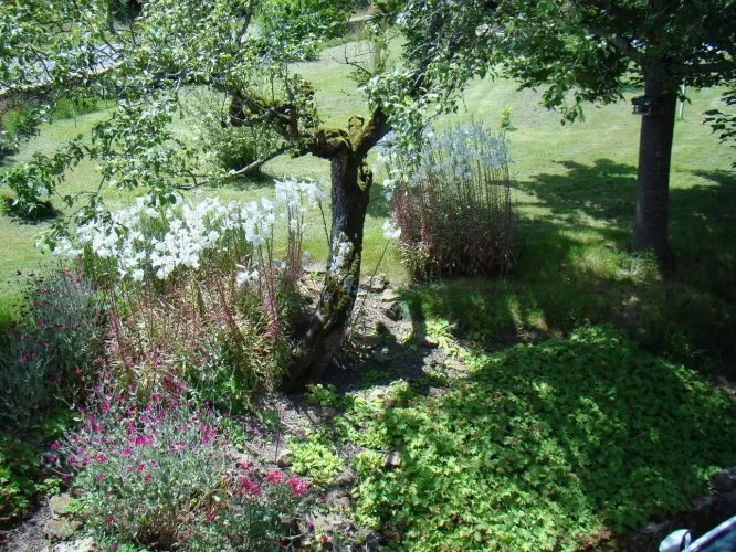 Propriété de caractère à vendre 6 pièces MAZILLE (71) dans le clunisois — photo 4