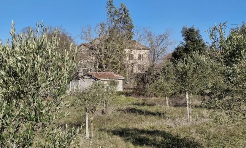 BATISSE EN PIERRE AU COEUR D'UN DOMAINE AGRICOLE - TRIANGLE D'OR DU TARN — photo 3