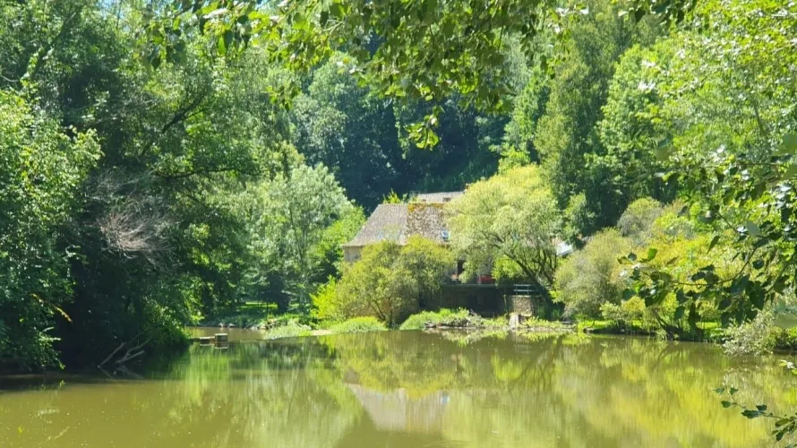 Magnifique moulin rénové dans un écrin de verdure