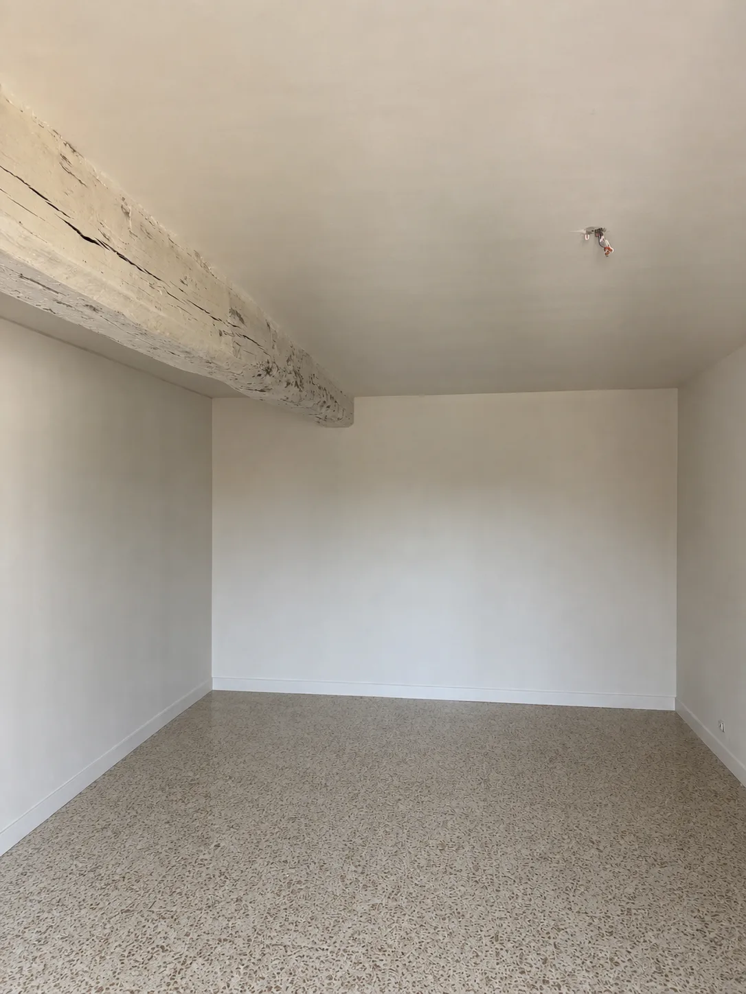 CORPS DE FERME À FORT POTENTIEL – GÎTES / CHAMBRES D’HÔTES / AIRBNB – SEINE-ET-MARNE — photo 3