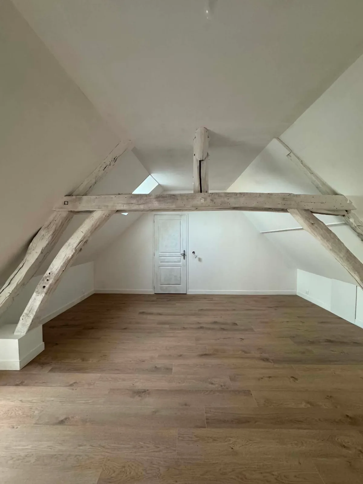 CORPS DE FERME À FORT POTENTIEL – GÎTES / CHAMBRES D’HÔTES / AIRBNB – SEINE-ET-MARNE — photo 4