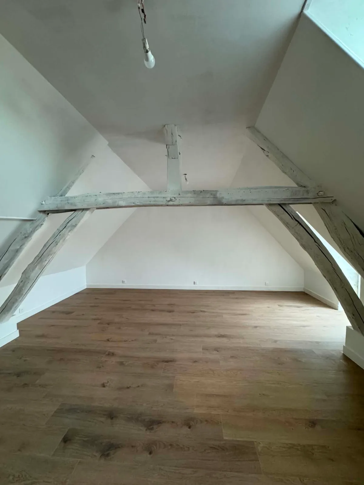 CORPS DE FERME À FORT POTENTIEL – GÎTES / CHAMBRES D’HÔTES / AIRBNB – SEINE-ET-MARNE — photo 5